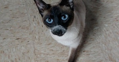 She will never recognize me!