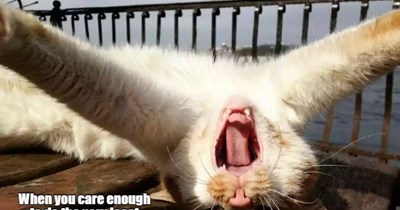 Even Then, It's Too Much