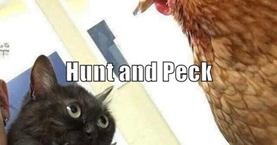 Hunt and Peck No keyboard necessary