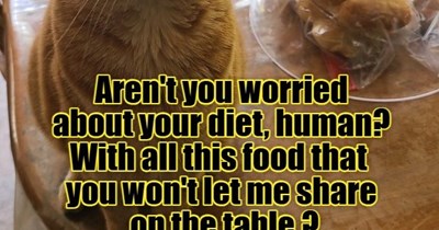 I'm just looking out for you