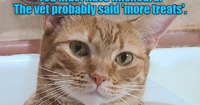 You must have misheard