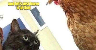 Besides, I'm Not One For Picking Low-Hanging Fruit