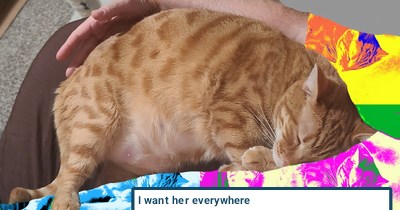 "Here, There and Everywhere" by the Beatles