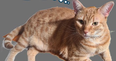 They're out there, literally and figuratively