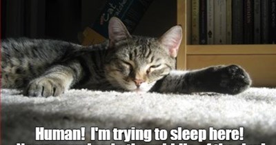 Keep the noise down!