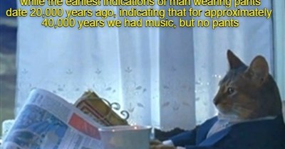 I Regret Learning How To Read