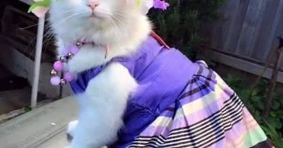 Not All Hero's Wear Capes