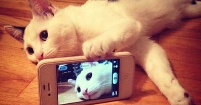 "I thought you could use another picture of me"