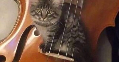 I'll take your bet, you're gonna regret.