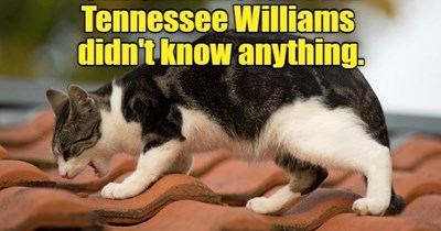 All roofs can be hot.