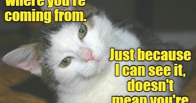 Know anyone like that?