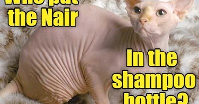 Not-so practical joke.