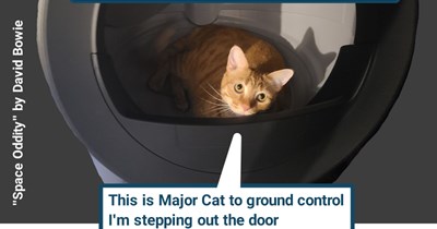 "Space Oddity" by David Bowie