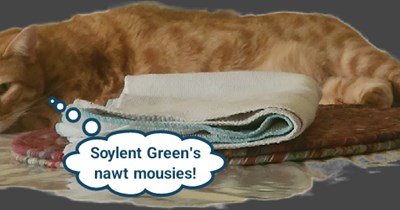 Cat has an epurrphany