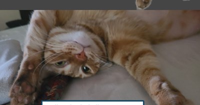 "Hello Again" by The Cars