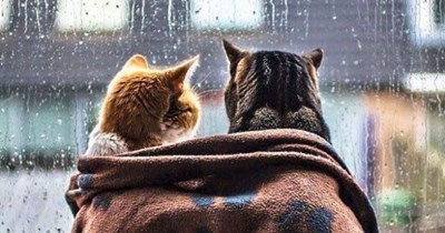 Lovely weather we're having