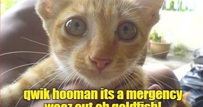 just had the last one