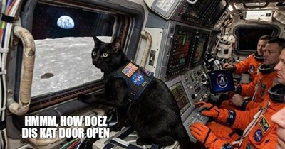 Open the pod bay doors, HAL