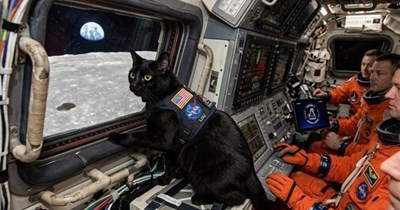 I think that's the saying