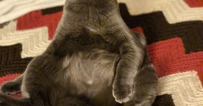 That's not ladylike?