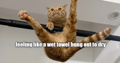 Wet towel hung out to dry