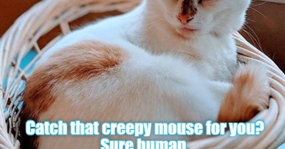 It'll be first on my to-do list