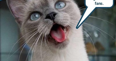 They were roomies & friends, actually