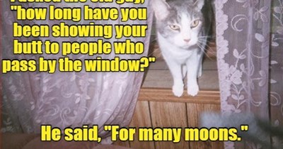 By the light of the silvery moon.