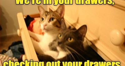 Victoria ain't got no secrets any more.