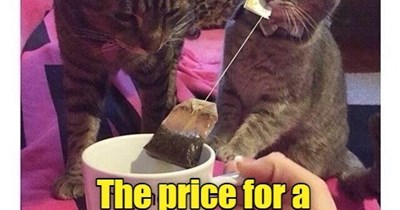 A good cuppa's hard to find.