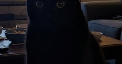 Bad Children Get No Chocolate