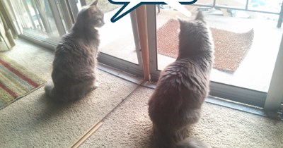 Breakout! That screen can't hold us