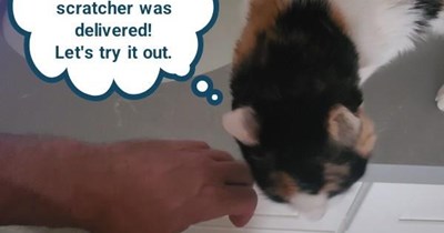 Extensive testing required