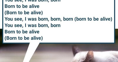 "Born to Be Alive" by Patrick Hernandez