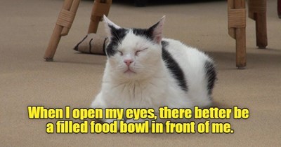 Seriously - FEED ME!