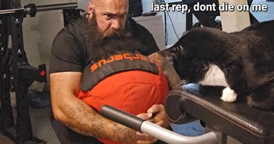 Strongman kitteh