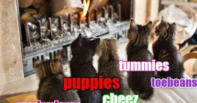 You can tell a lot about a kitteh by what she wants to toast