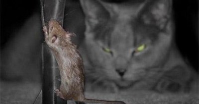 Just happen to be nearby