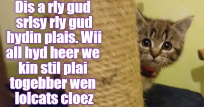 Noebuddi Eber Fynd Us Heer. Srsly. Qwik!