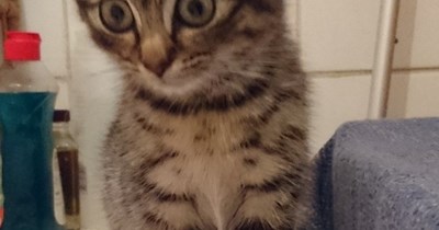 When it all starts coming back to you