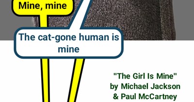 "The Girl Is Mine" by Michael Jackson & Paul McCartney