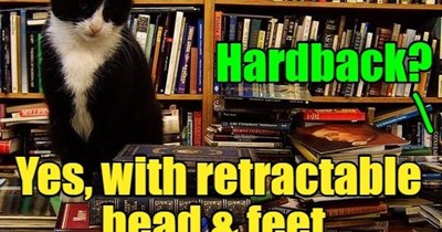 Ask a stupid question...