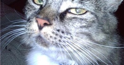 I read it on the internet, so it must be true.