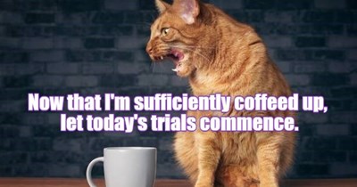 Sufficiently coffeed up