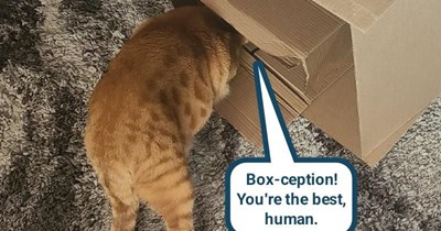 Better than Kachina dolls