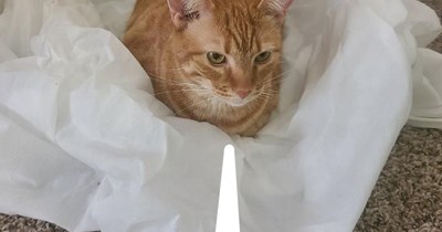 "Get Off Of My Cloud" by The Rolling Stones