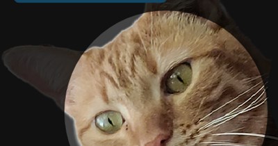 With apologies to Johnny Lee ("Lookin' For Love")