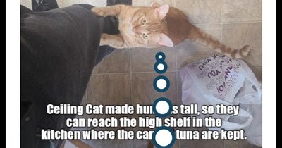 With apologies to AC/DC ("It's A Long Way To The Top (If You Wanna Rock 'n' Roll)")