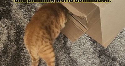 I'll be in my office