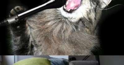 TTO "Jive Talkin'" by [the] Bee Gees